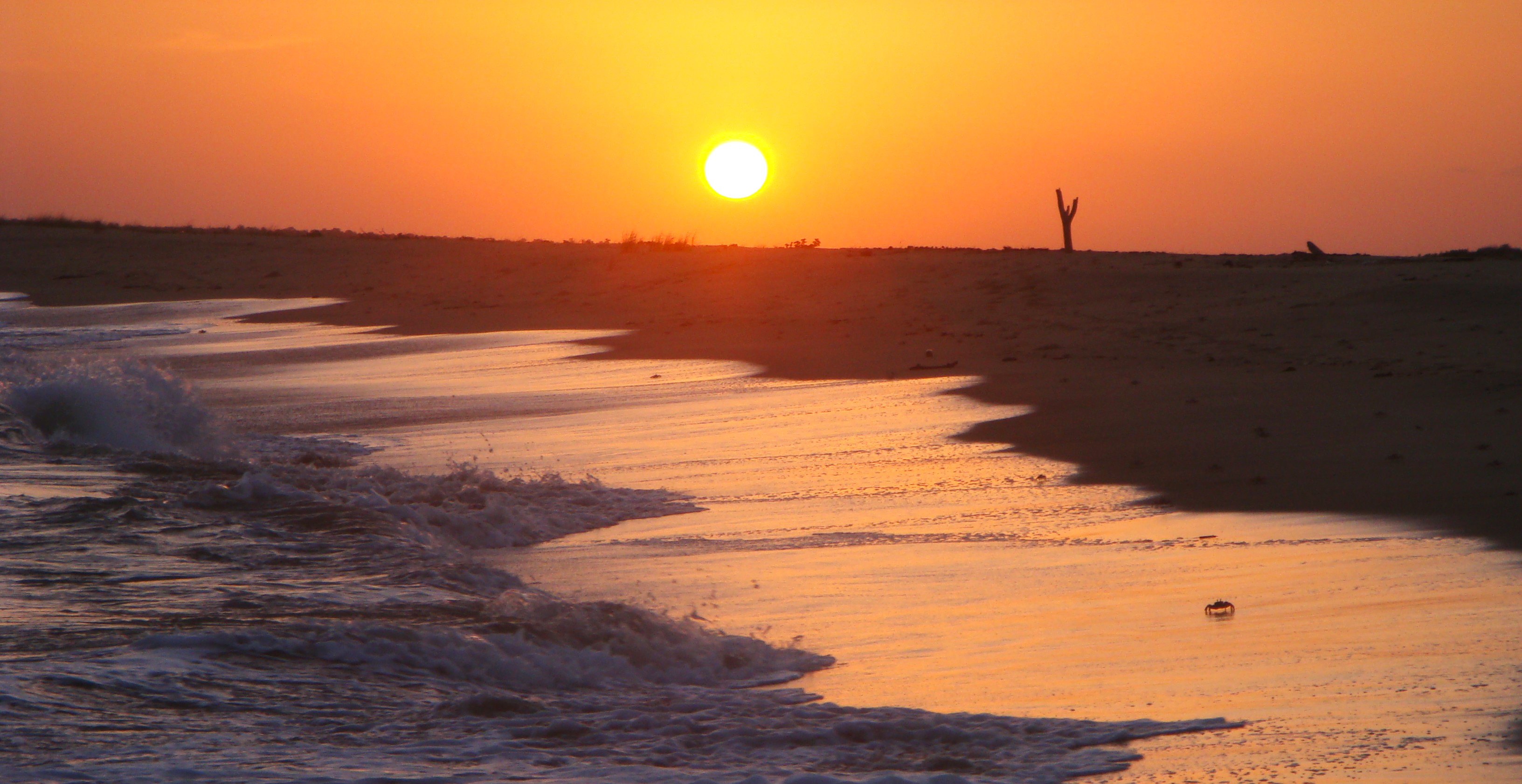 Sundowners on the dunes