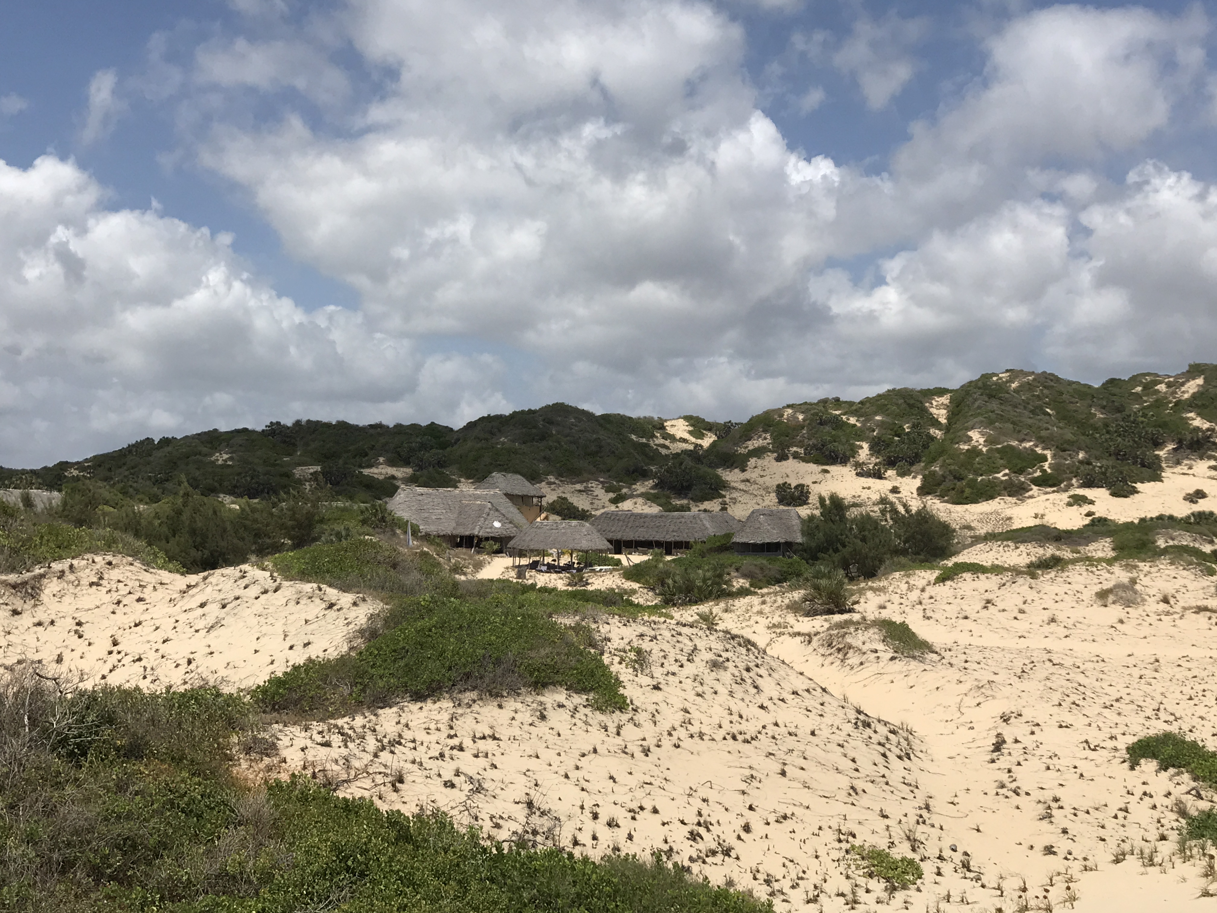 Thatched Bandas