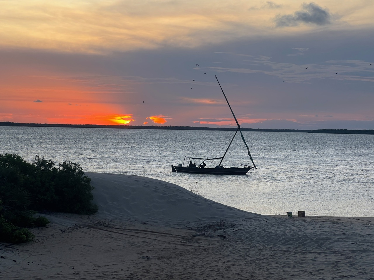 Evening Dhow Sailing